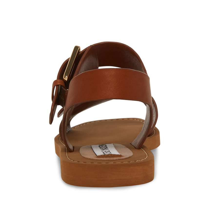 Brown Steve Madden Santo Leather Women's Flat Sandals | PH 3240GYA